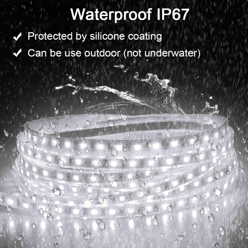 32.8ft LED Strip Lights Daylight White Waterproof IP67 6000K 24V